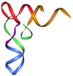 a tRNA synthetase